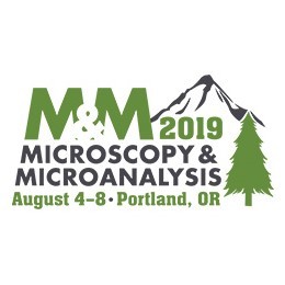 Microscopy & Microanalysis